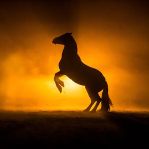Silhouette d'un cheval cabré noir se dressant sur ses pattes arrière sur un fond doré et brumeux, évoquant les logos de Ferrari et Porsche.