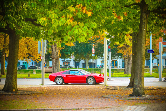 009-FRAGNÉE-DGD-LIEGE-2025-We-Love-Curves-1037